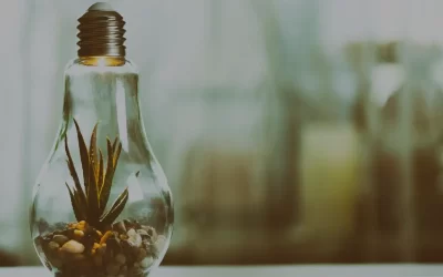 Common electrical problems that electricians can solve