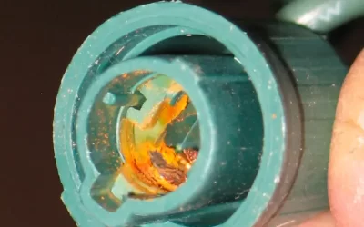 Using dielectric grease on Christmas lights